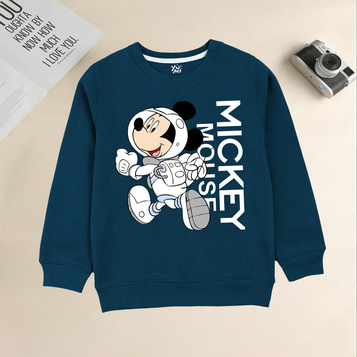 boys sweatshirt